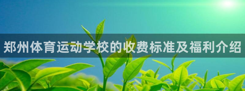 vsport体育官方正版app集团官网首页：郑州体育