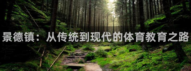 vsport体育官网下载平台注册：景德镇：从传统到现