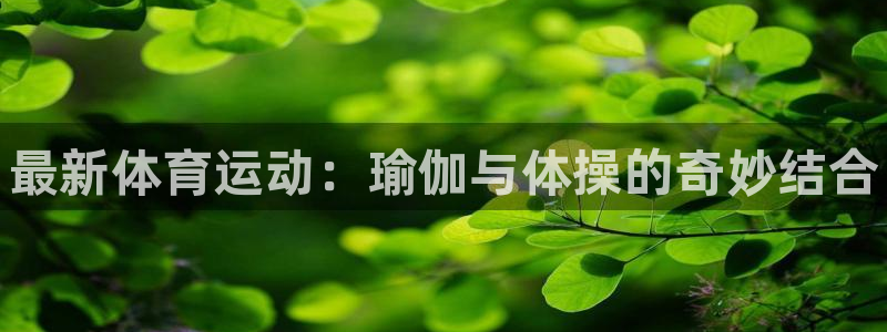 vsport体育官方正版app科技：最新体育运动：瑜