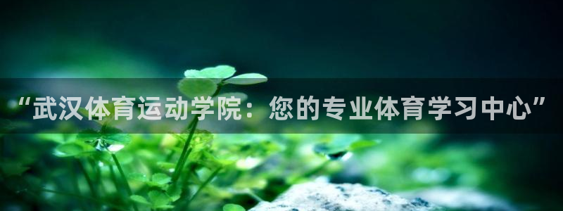 vsport体育官方正版app开户：“武汉体育运动学