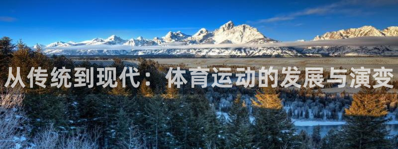 vsport体育官网下载招商电话是多少啊：从传统到现