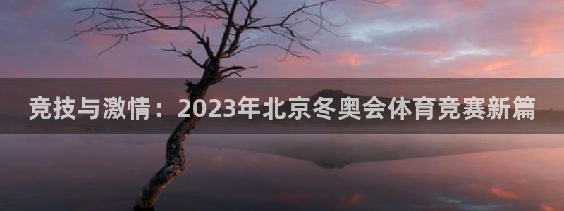 vsport体育官方正版app官网：竞技与激情：20