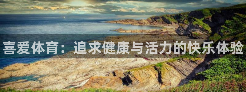 vsport体育官方正版app新能源：喜爱体育：追求