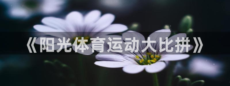 vsport体育官方正版app集团简介：《阳光体育运