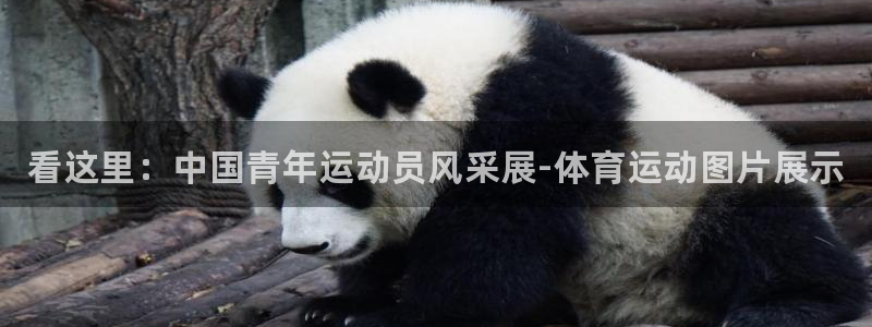 vsport体育官网下载招商电话地址是多少：看这里：