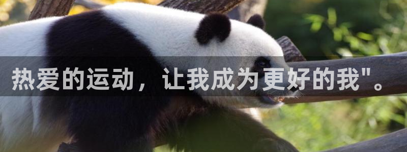 vsport体育官网下载招商电话号码查询：热爱的运动，让我成
