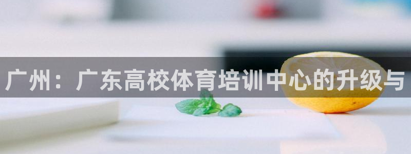 vsport体育官方正版app集团E.ON：广州：广