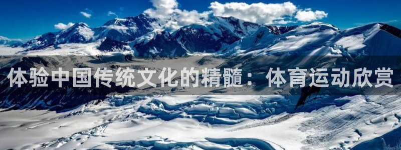 vsport体育官方正版app娱乐代理怎么样：体验中