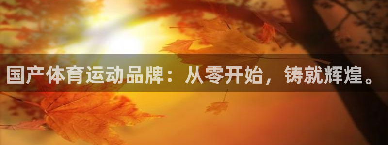 vsport体育官方集团官网：国产体育运动品牌：从零