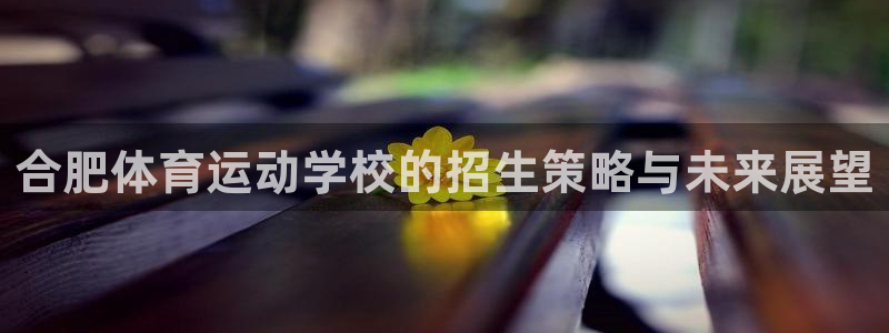 vsport体育官方正版app集团：合肥体育运动学校