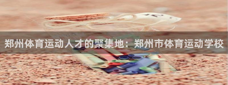 vsport体育官网下载招商电话是多少啊