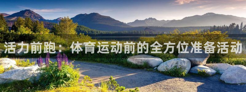 vsport体育官方正版app娱乐首页网站大全：活力前跑：体