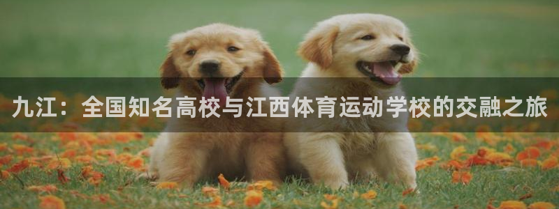 vsport体育官网下载招商电话是多少啊