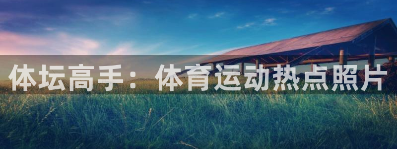 vsport体育官方正版app娱乐网站