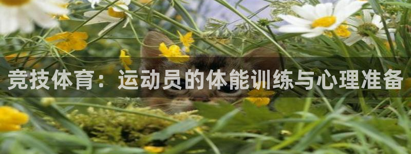 vsport体育官网下载平台注册要钱吗是真的吗：竞技体育：运