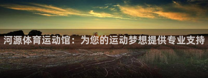 vsport体育官方正版app娱乐平台
