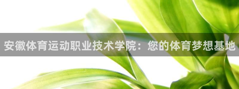 vsport体育官网下载招商电话是多少啊：安徽体育运动职业技