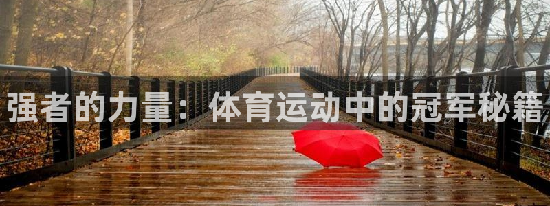 vsport体育官网下载平台是正规平台吗