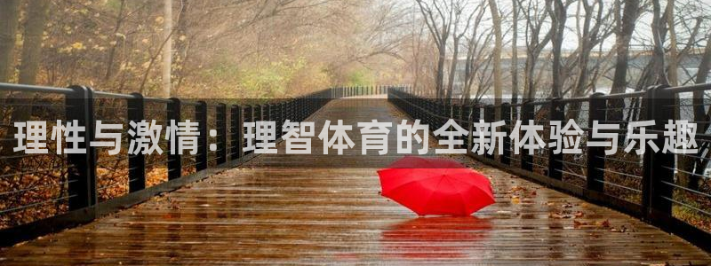 vsport体育官方正版app神州：理性与激情：理智体育的全